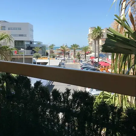 Les Cigales De La Place De La Liberation Le Grau-du-Roi