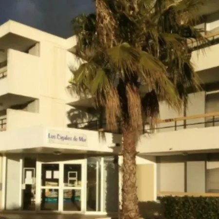 Les Cigales De La Place De La Liberation